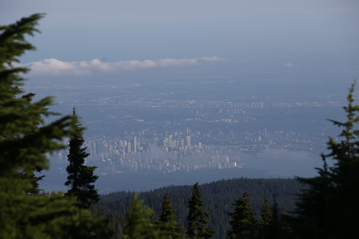 Steep forest hiking trail for a Grouse Grind plan